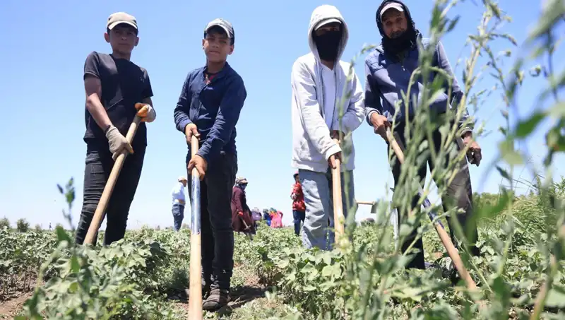 Yazın Cezası: 650 TL Yevmiye ile 40 Derecede Çalışmak