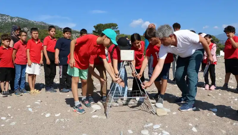 Kemer'de Caretta Caretta Koruma Yasakları: Doğanın Geleceği İçin Yeni Adımlar