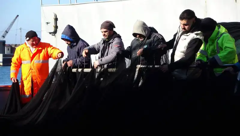 Denizlerde Hamsi Avı Sonbaharla Birlikte Neden Son Buldu?