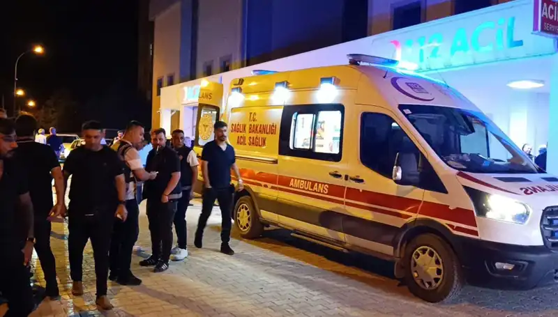 Kardeşini Koruma Çabası Can Aldı: Korkunç Olayın Ayrıntıları