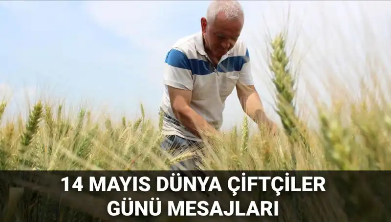 14 Mayıs Dünya Çiftçiler Günü: Çiftçilerin Emeklerini Anma Zamanı