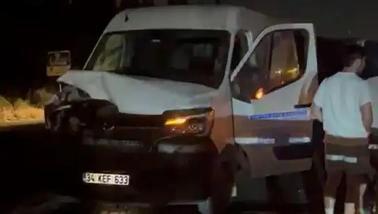İstanbul'da Manda Kazası: Üç Kişi Yaralandı, Panik Yaşandı!