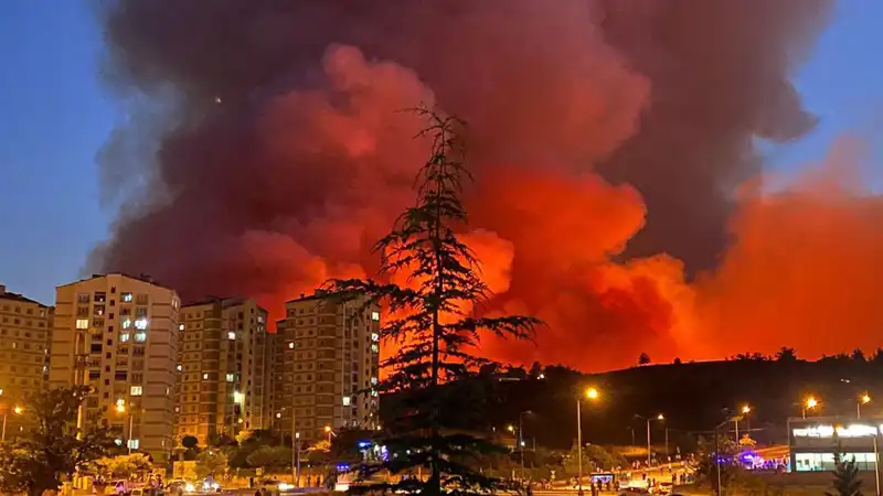 Bursa’da Yangın Alarmları: Şehirdeki Yeşil Alanlar Tehlikede!