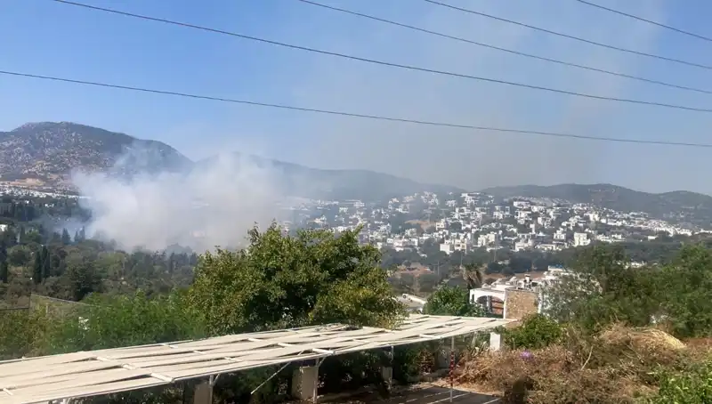 Muğla'daki Orman Yangınları Kontrol Altına Alındı: Doğa Yeniden Canlanıyor