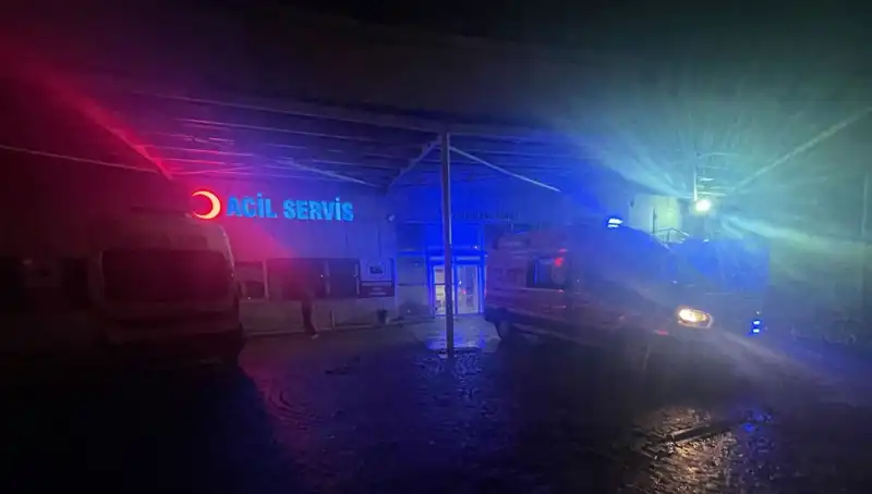 Kadın Cinayeti: Korkunç Olayın Detayları İfşa Oluyor