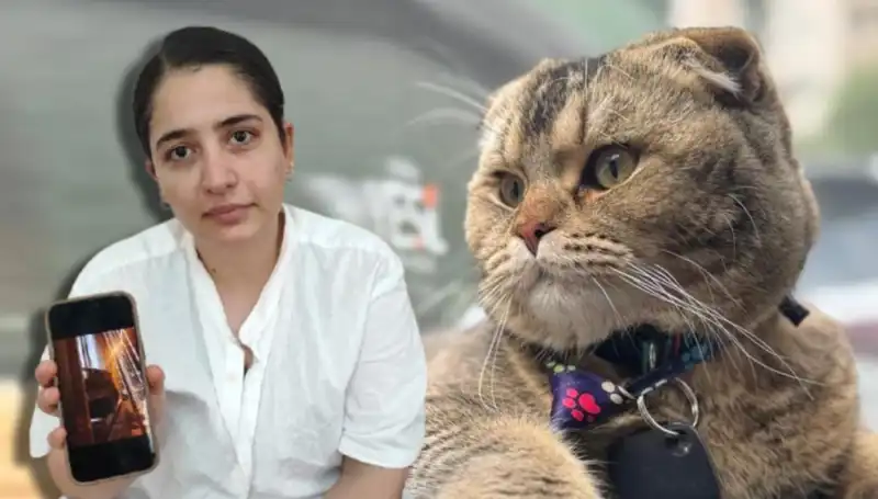 Evlilikte Kedi Etkisi: Eşim Beni Boşayacak Dediği O An!