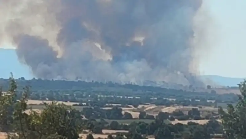 Edirne'de Komşu Orman Yangını: Şehir Neden Duman Altında Kaldı?