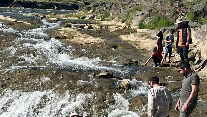 İnci Kefalinin Büyüleyici Göçü: Doğanın Mucizesi Turistleri Büyülüyor