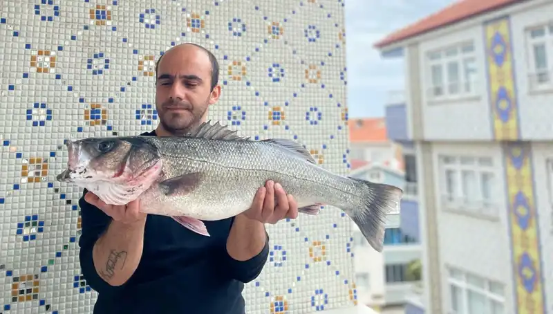 7,5 Kiloluk Dev Levrek: Balık Tutkunlarının Hayalini Gerçeğe Dönüştüren An