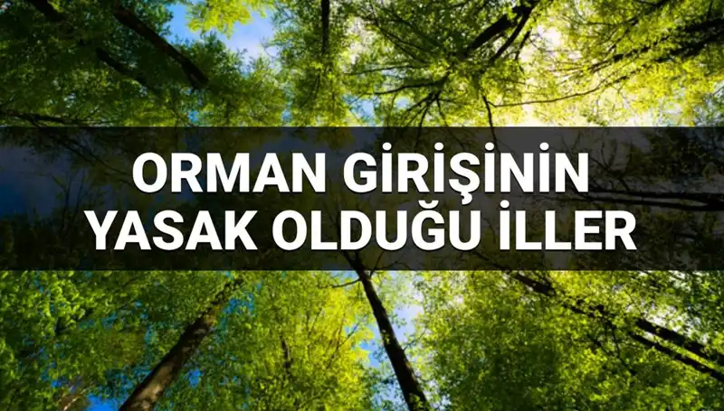 2025’te Ormana Girişin Yasaklandığı İller Hangileri?