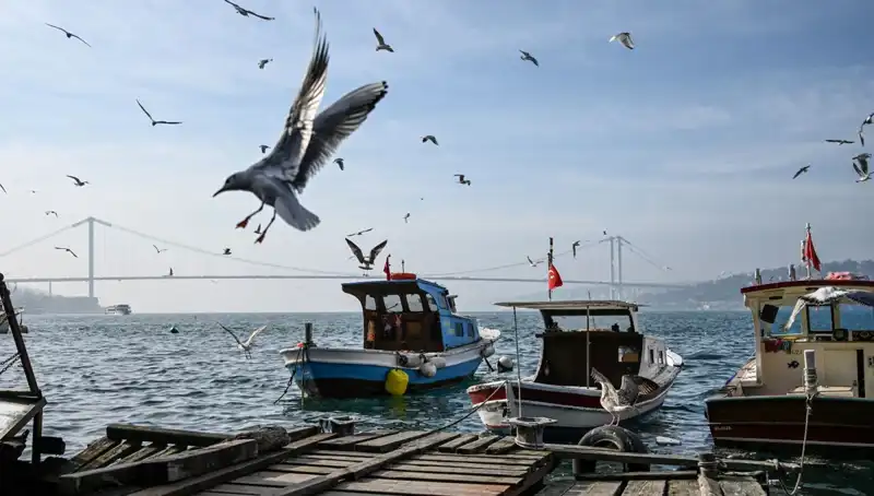 İstanbul'da Bahar Havası Kapıda: Hava Durumu Bilgileri Açıklandı!