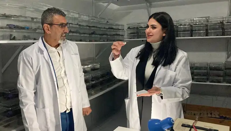 Akrep Zehri Şekerle Buluşuyor: İnanılmaz Bir Tat Deneyimi!