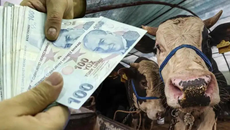 Memur ve Emekli Maaşları Bayram Öncesi Yatacak mı? Merak Ediliyor!
