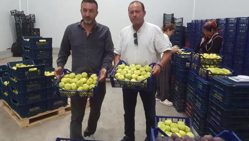 Mersinli Çiftçiler İçin İhracatta Yeni Umut: 20 TL'den Başlayan Fiyatlar