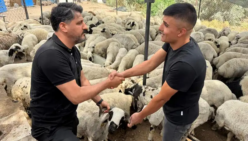 Kurbanlık Hayvan Alırken Tuz ve Sumak Uyarısı: Şişkinlikte Dikkat!