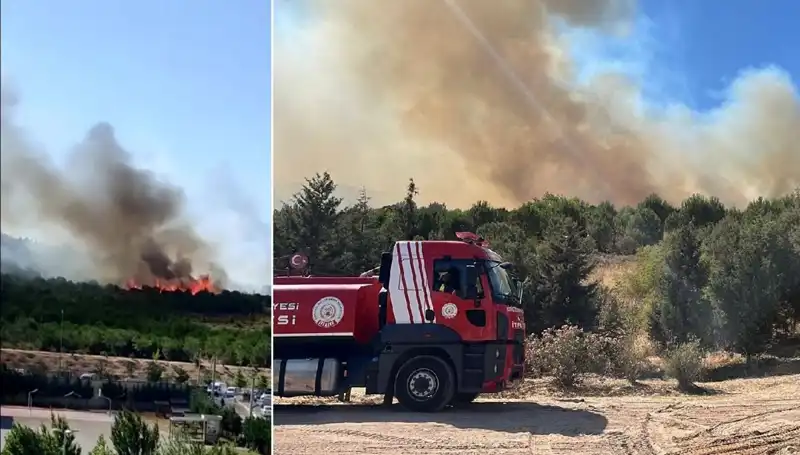 Gebze’de Orman Yangını: Doğa Koruma Savaşına Tanık Oluyoruz