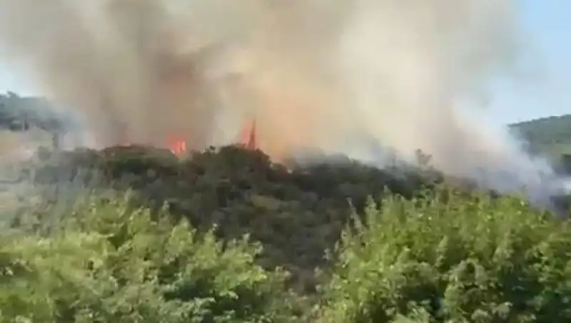 İstanbul Orman Yangını: Acil Tahliye ve Can Güvenliği Önceliği