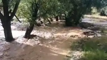 Mersin'de Şiddetli Yağışlar Sel Felaketine Yol Açtı: Neler Yaşandı?