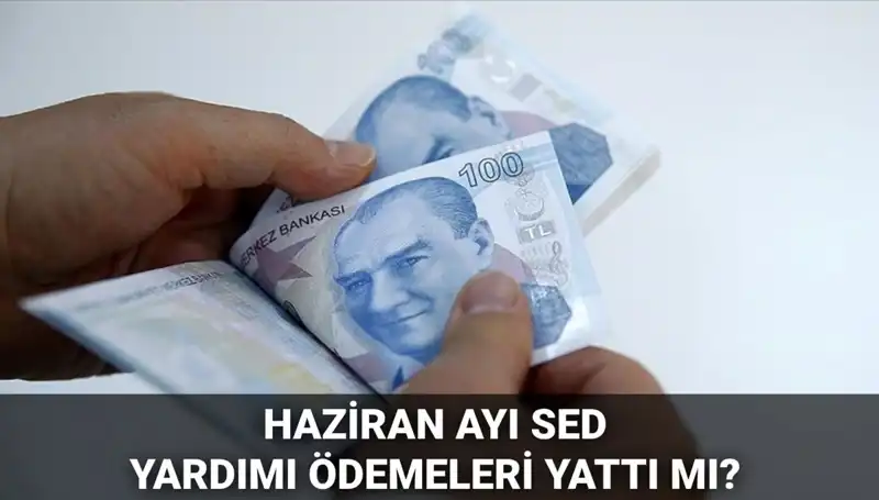2025 Yılı Haziran Ayı SED Ödemeleri: Ne Zaman Yatacak ve Sorgulama Nasıl Yapılır?