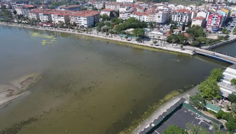 Marmara Denizi'nde Endişe Verici Görüntüler: Ciddi Riskler Kapıda