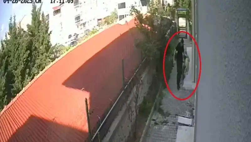 Veteriner Doktor, Sahiplendiği Köpekleri Katletti: Toplum Şokta!