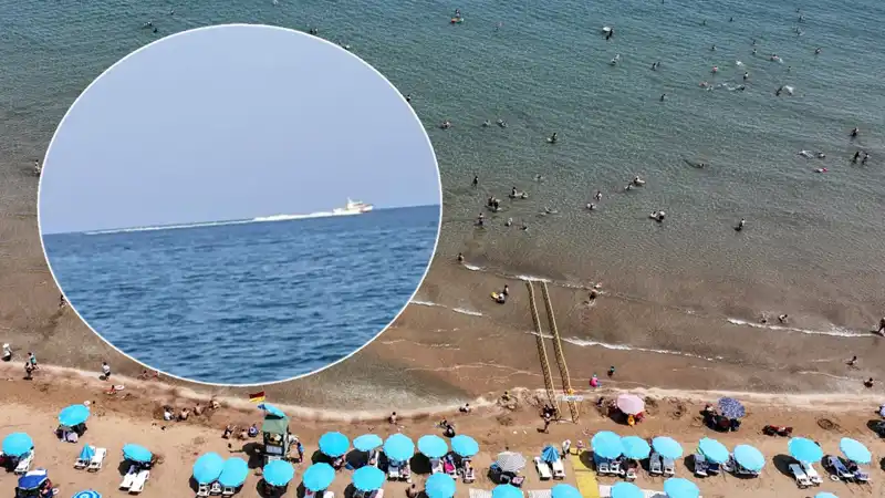 Plajda Köpek Balığı Korkusu: Güvenlik Önlemleri Alındı, Gerçek Şok Edici