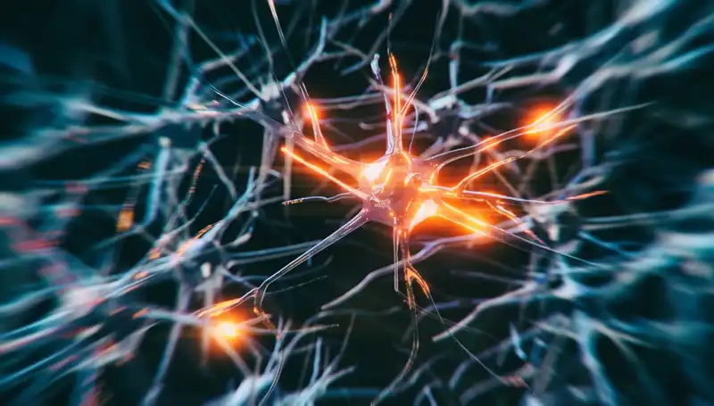 Alzheimer Vakalarında Alarm! Artışın Arkasında Yatan Sebepler Neler?