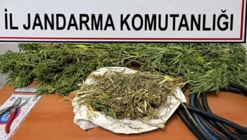 Niğde’de Üzerinde Uyuşturucu Taşıyan Şişli Operasyonu: 10 Tutuklama!