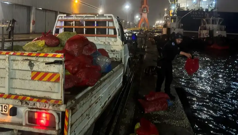 Kaçak Midyeler, Sağlık Bakanlığı Tarafından Ele Geçirildi: İşte Gelişmeler!