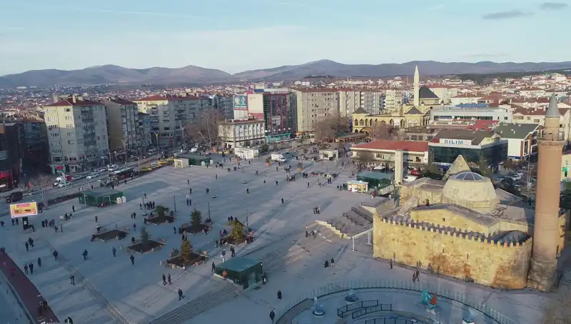 Kırşehir'de Bilim Dünyasını Şaşkına Çeviren Yeni Böcek Türü Keşfi