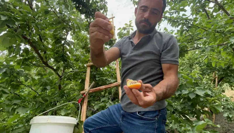 Damakları Şenlendiren Yeni Tat: 50 TL ile 70 TL Arasında Satışta!