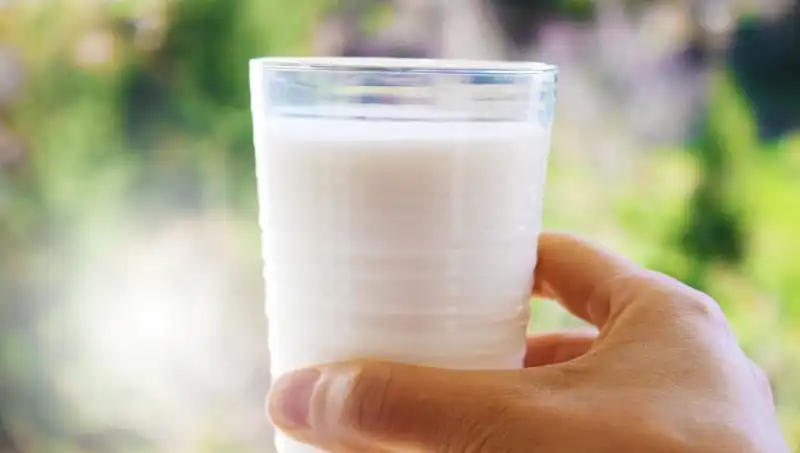Süt Tüketimi Şişkinlik Yapıyor Mu? Uzman Doktor Yanıtlıyor