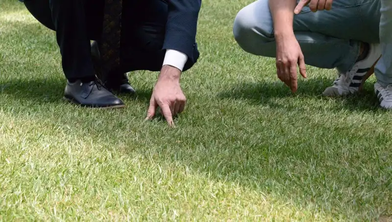 Tartışmalı Stadyum Zemini: 10 Günde Hazır Olacak mı?
