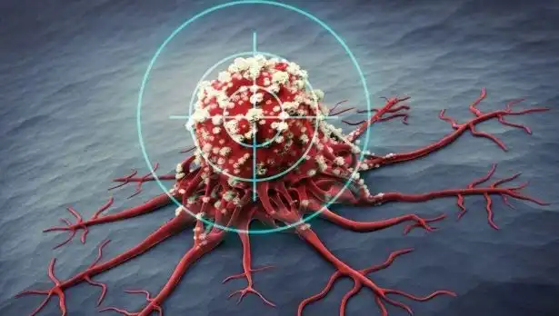 Prostat Kanseriyle Mücadelede Etkili Altı Besin: Bilimsel Kanıtlar