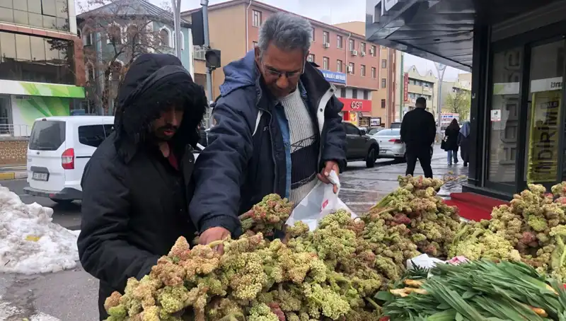 Kendiliğinden Yetişen Vitamin Deposunun Kanserle Mücadeledeki Önemi