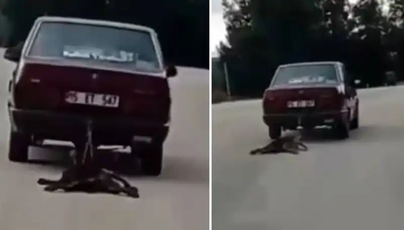 Köpeğini Sürükleyen Araba Sürücüsüne Ait Şok Edici Görüntüler Yayınlandı