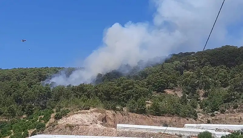 Kumluca'da Korkutan Orman Yangını: İzleri Silinmeden Söndürüldü