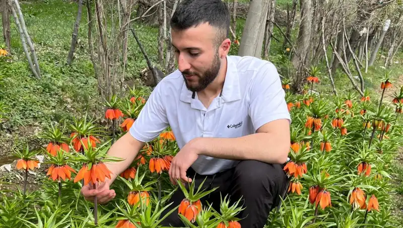 Ağlayan Gelin: Doğanın Gözyaşları, 20 Günlük Ömrü ve 244 Bin Lira Cezası