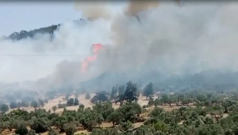 İzmir'de Kriz: Orman Yangınına Hızla Müdahale Ediliyor