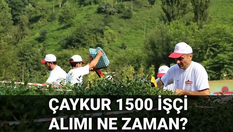 Çaykur İşçi Alımı Başvuru Tarihleri ve Süreci Hakkında Bilgiler