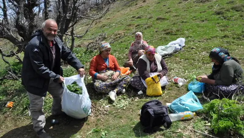 Kilosu 250 Lira: Yüzlerce Ailenin Geçim Kaynağı İçin 5 Saat Yol Yürüyorlar