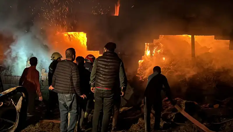 Bolu'da Neden Yangınlar Artıyor? Son Olayda Ahır Alev Alev Yandı!