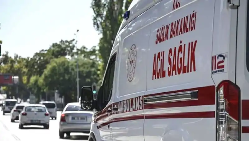 Apartmanda Yaşanan Büyüleyici Olay: Böcek İçin Mangal Yakıldı!