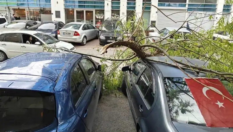 Kayseri’de Fırtına Hayatı Olumsuz Etkiledi, Dalları Kırdı