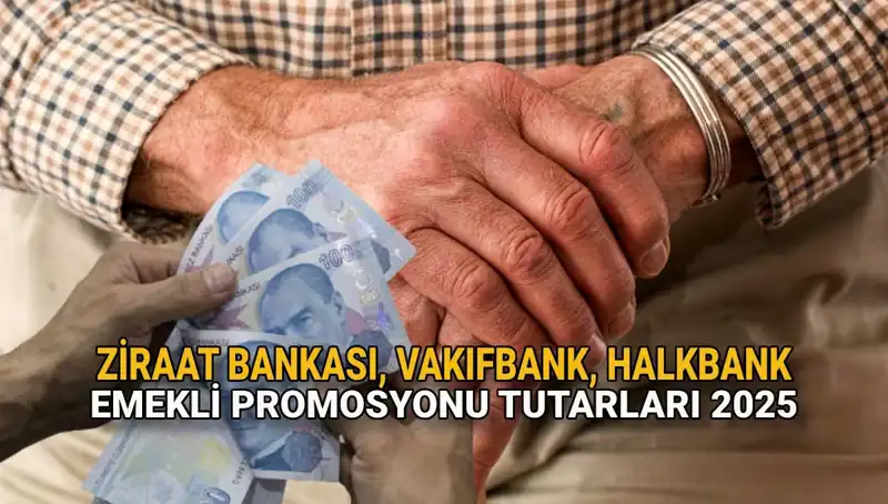 Emekli Promosyonları 2025: Kamu Bankalarında Rekabet Kızışıyor