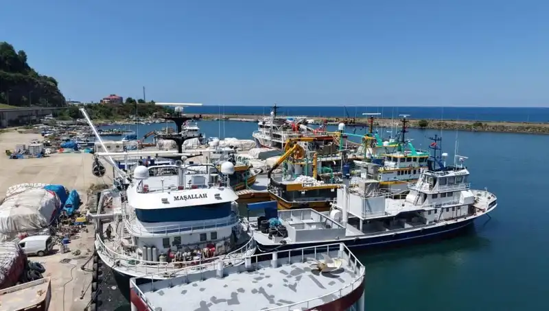 Karadeniz'de 1 Eylül Heyecanı: Yüzlerce Yıldır Beklenen Gelenek
