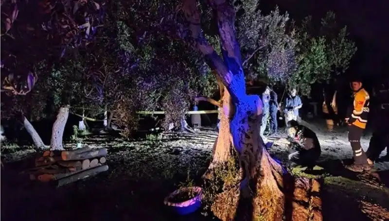 Çiftlikteki Baltalı Vahşette Şok Gelişme: Bir Kişi Tutuklandı!