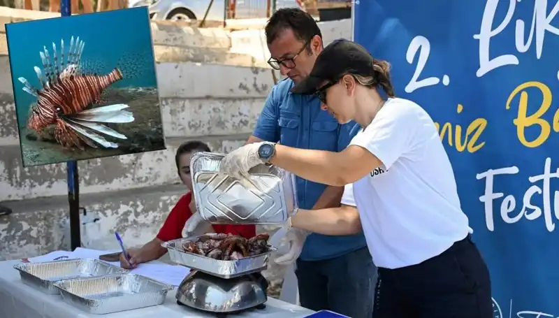 Antalya'da Heyecan Verici İstilacı Aslan Balığı Avlama Yarışması Başlıyor!
