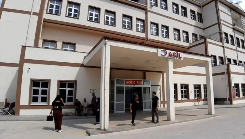 Bolu'da Tartışmalı Ayı Avı Kararı: Doğa Koruma ve Hayvan Hakları Arasında Kalanlar