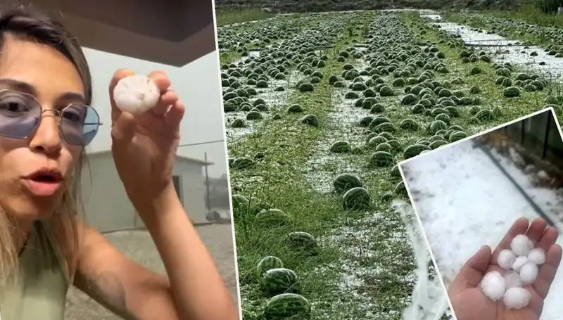 Antalya'da Dolu ve Hortum Afeti: Vatandaşlar Gözyaşlarıyla Anlattı